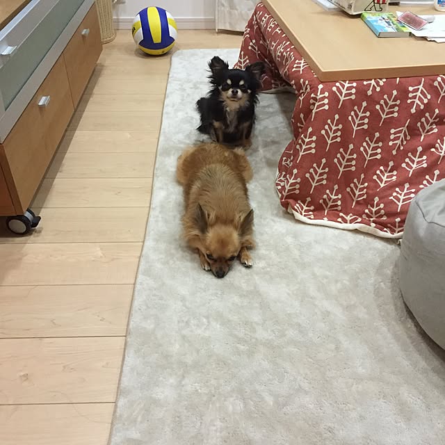 miyuさんの実例写真