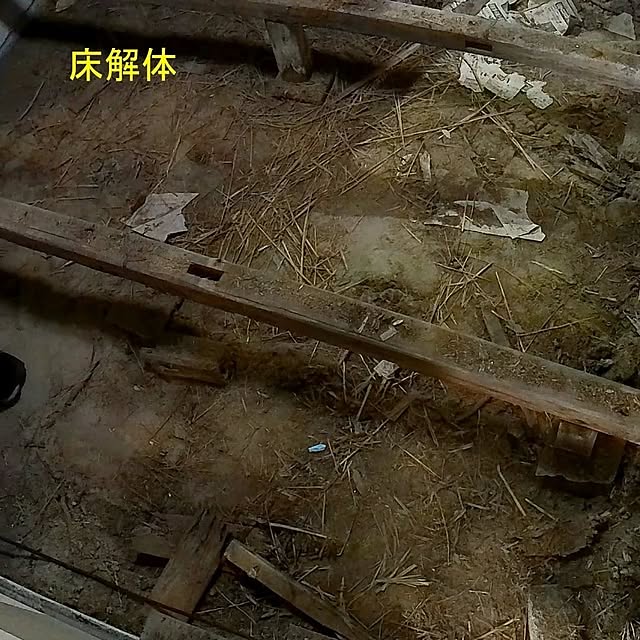 littlejoyさんの部屋
