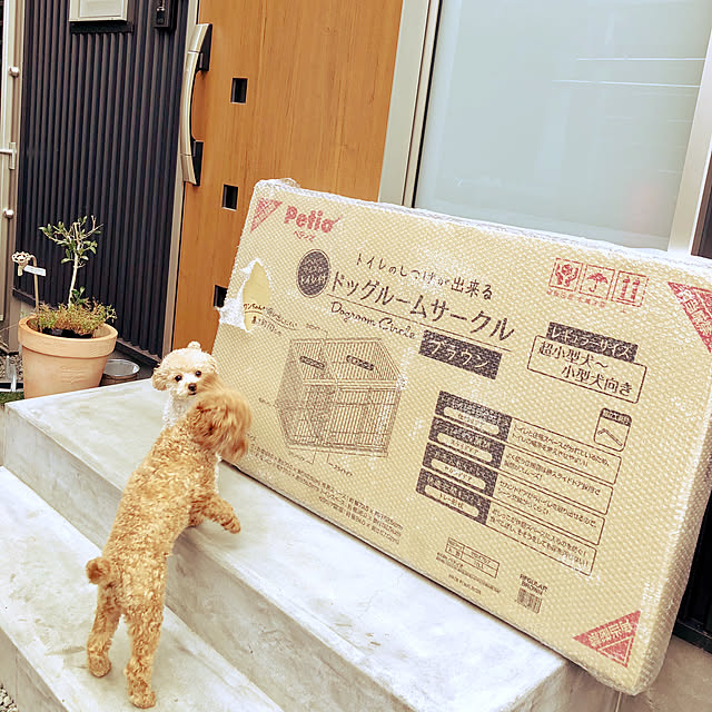 honohonoさんの実例写真