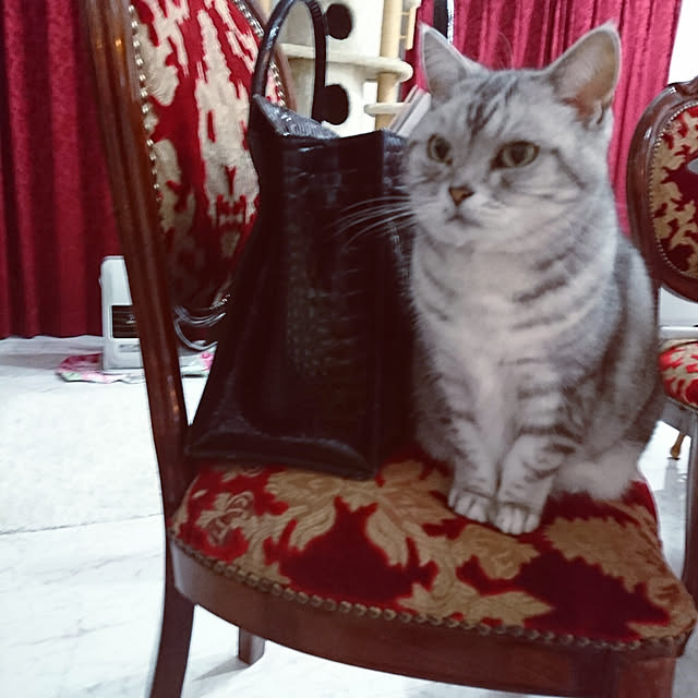 machikomamaさんの実例写真