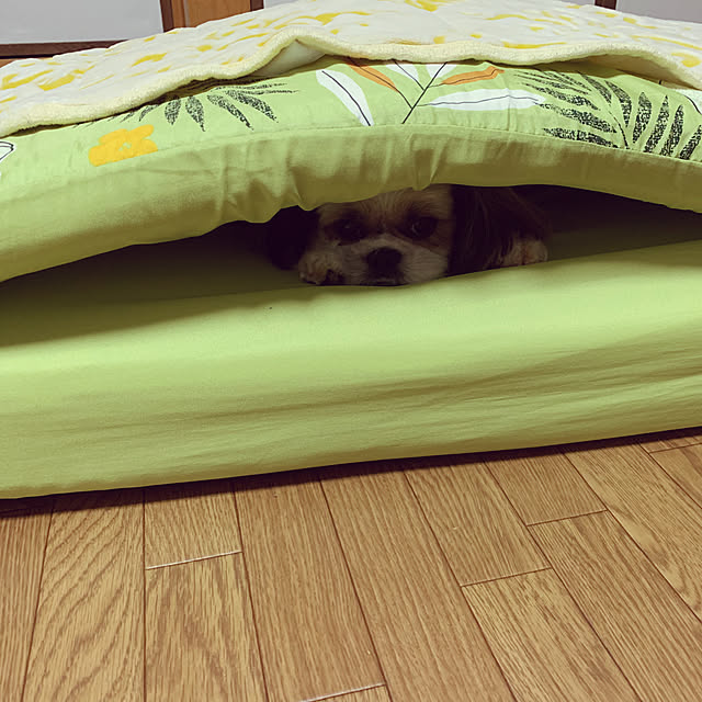 Yuさんの実例写真