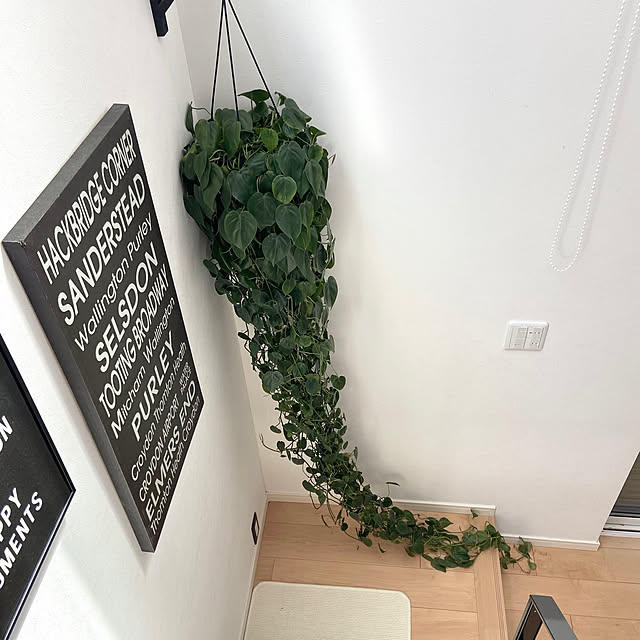 kobami_styleさんの部屋