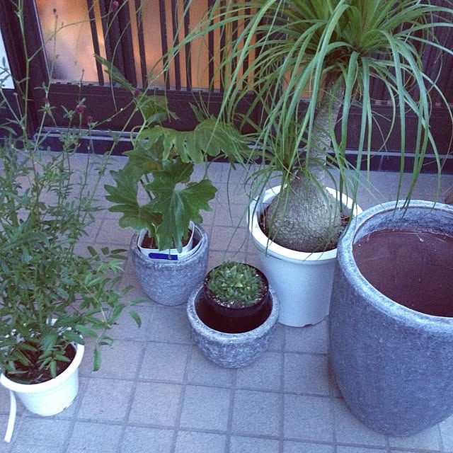 jorikoさんの実例写真