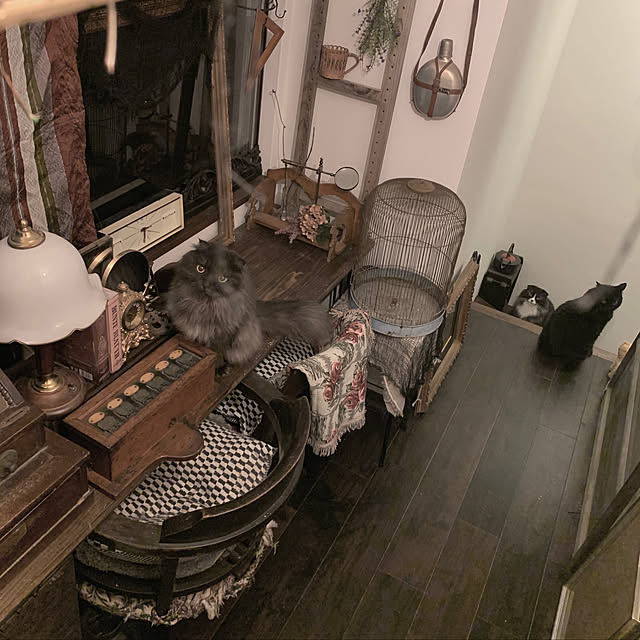 mecchaさんの実例写真