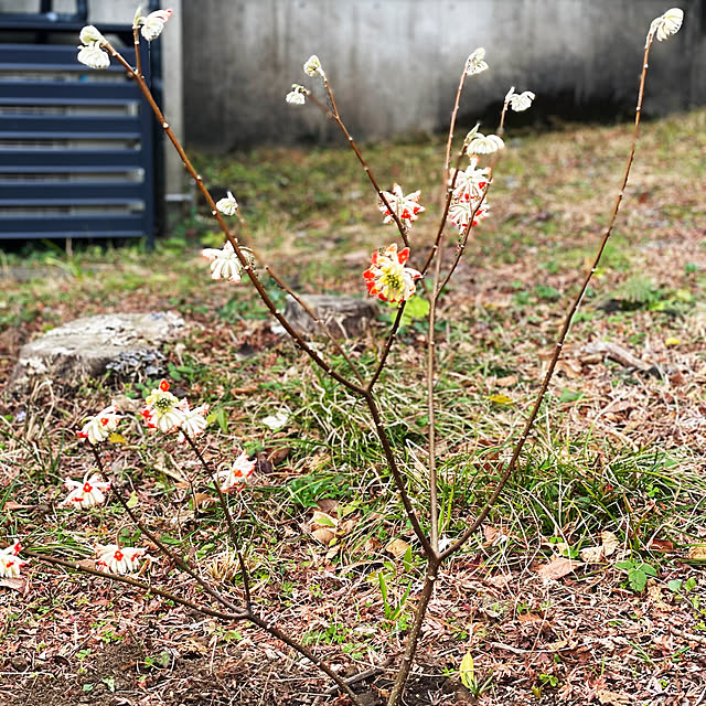 kabu10さんの部屋
