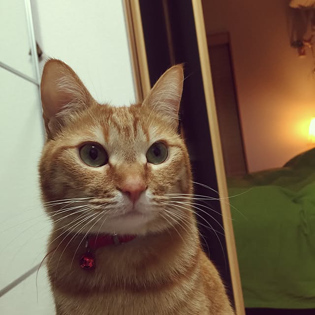 hanaさんの実例写真