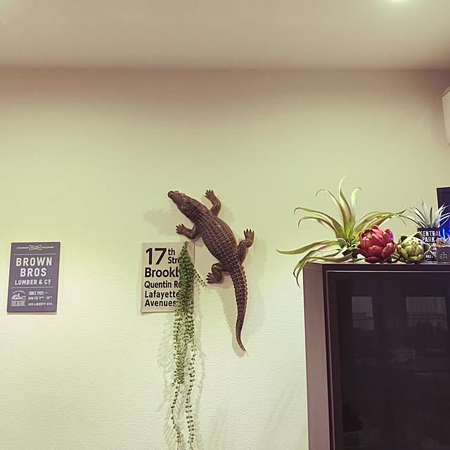 e-さんの実例写真