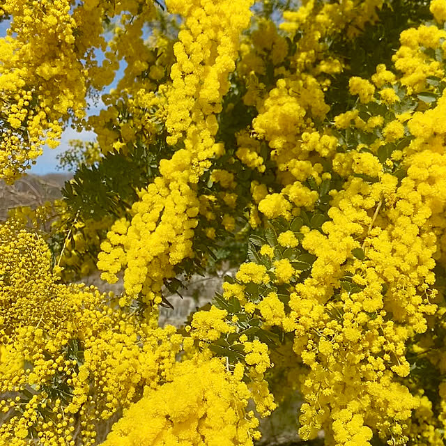 na-chanさんの部屋