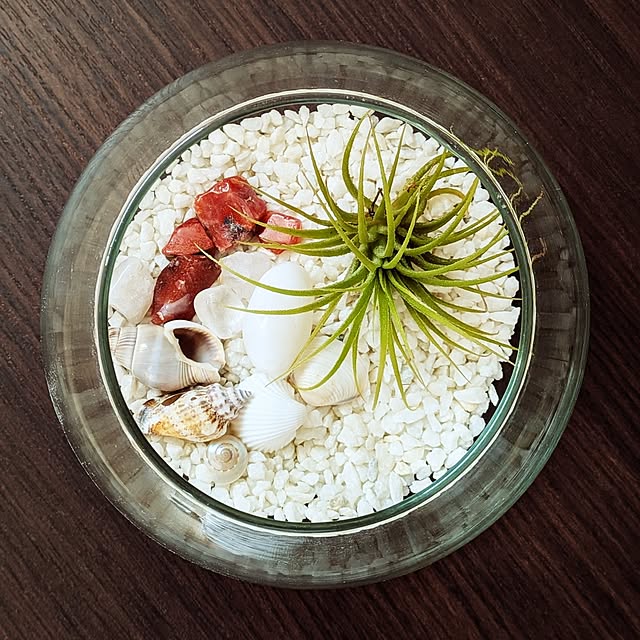 kumijiさんの実例写真