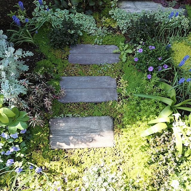 coconathuさんの実例写真