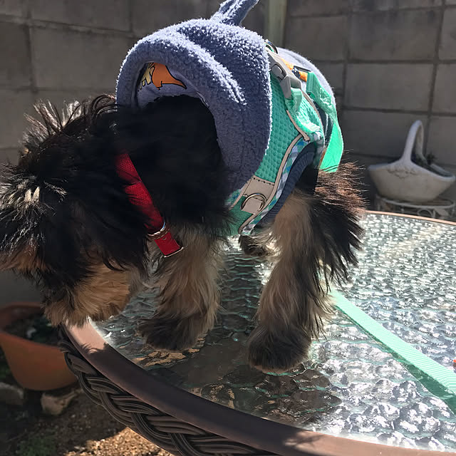 oceanさんの部屋