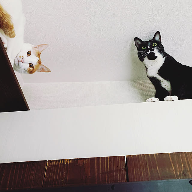 ____Mukさんの実例写真
