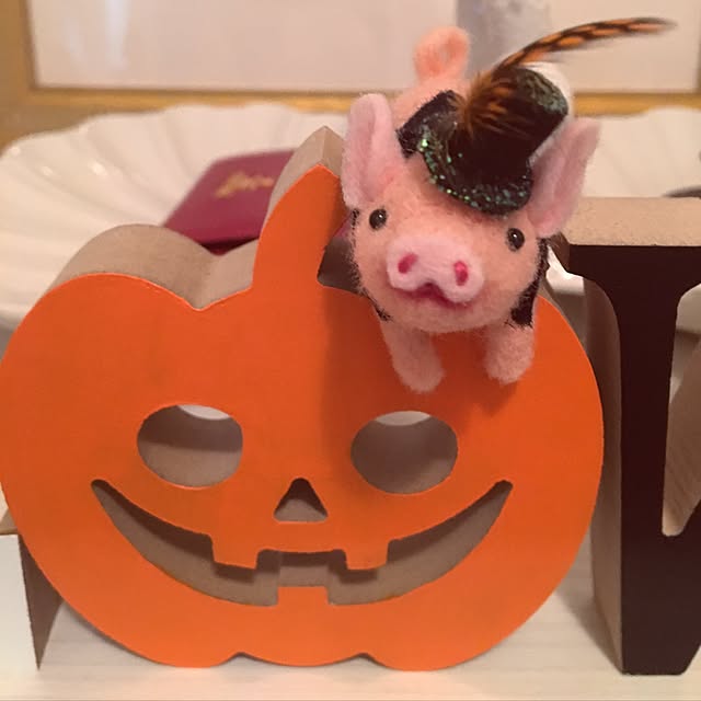 soraさんの実例写真
