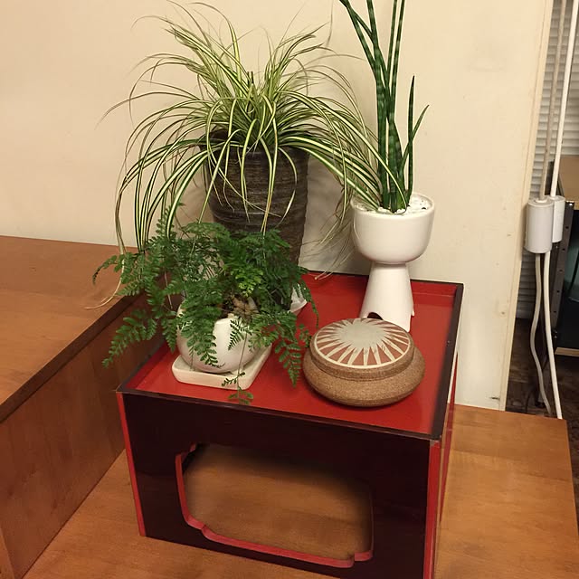 Hiroさんの実例写真
