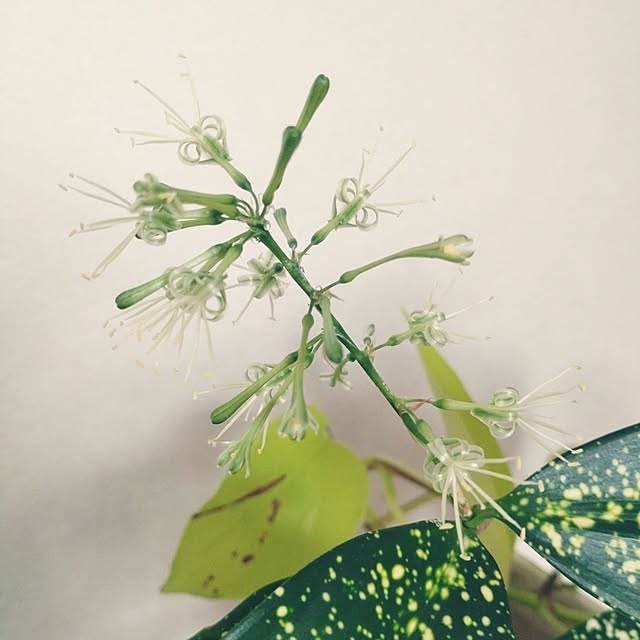 tan5さんの部屋