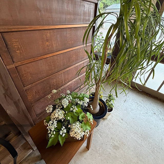 cotaさんの部屋