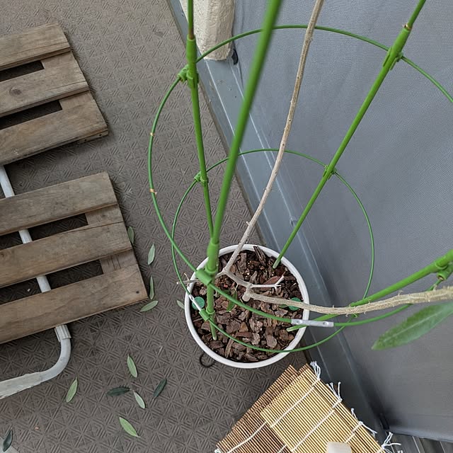 mi-saさんの部屋
