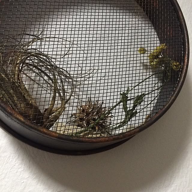 gamiさんの実例写真