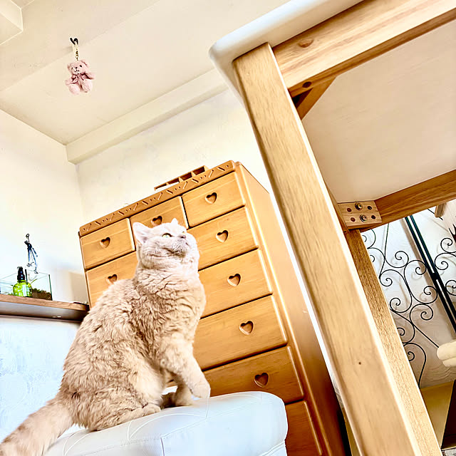 naokoさんの実例写真