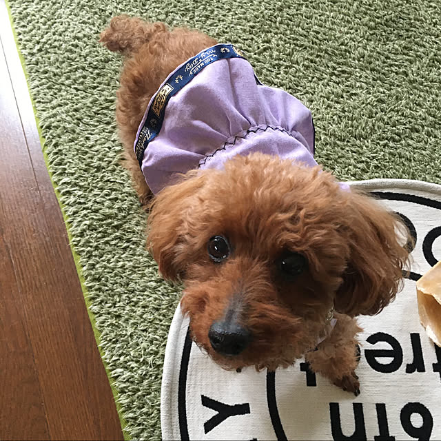 MIYUさんの実例写真