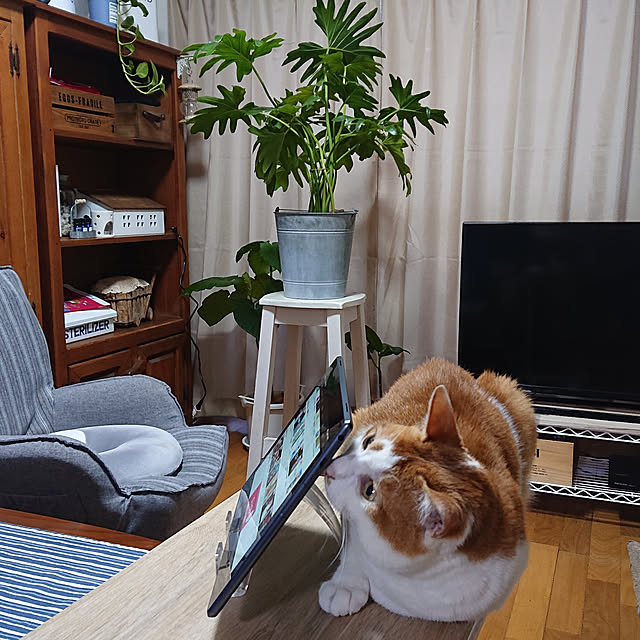 mugi77327732さんの実例写真