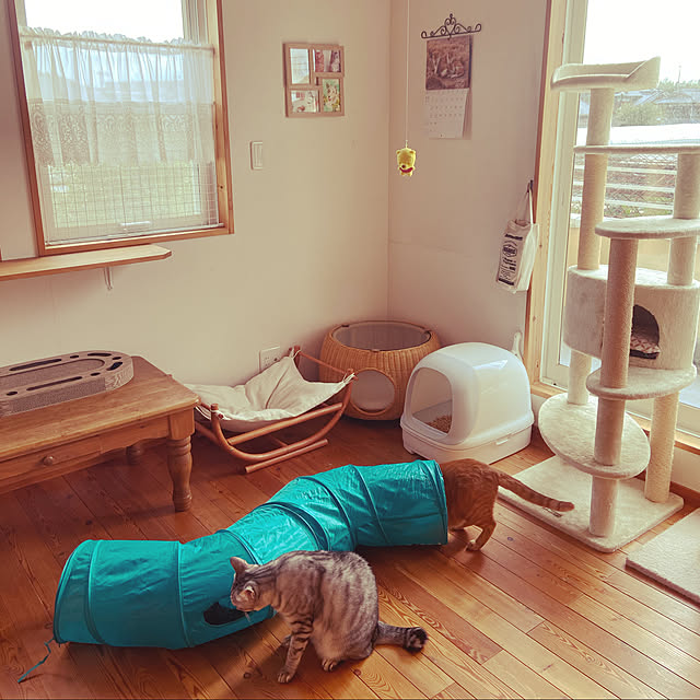 mako0301さんの実例写真