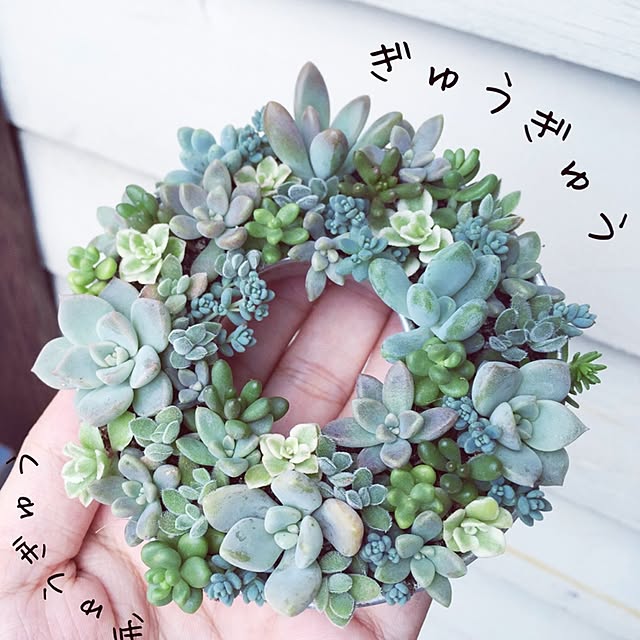 okamokuさんの実例写真