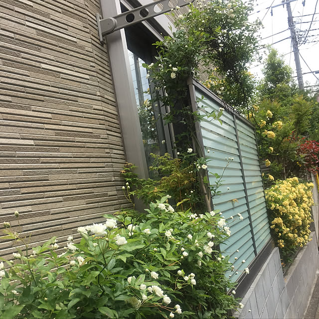 fu-mufumuさんの実例写真