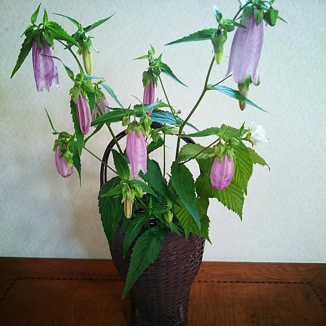 monblanさんの実例写真