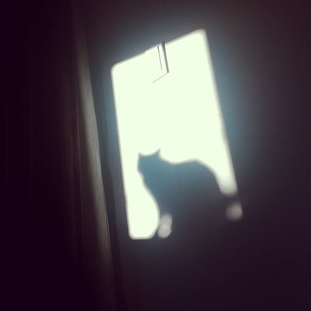 fishing_catさんの実例写真