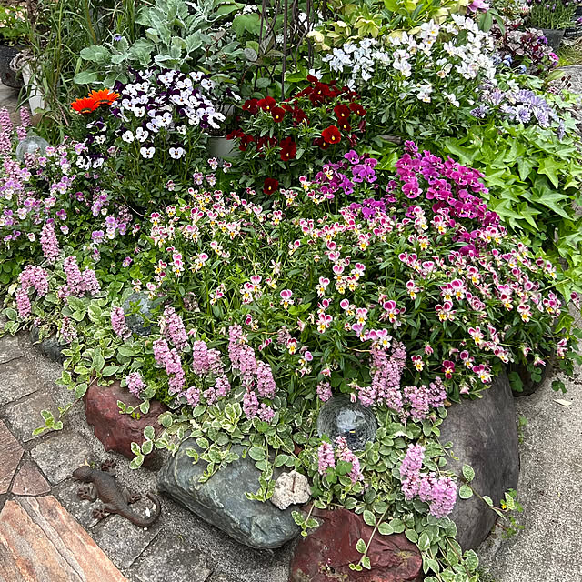 kurumeruさんの部屋