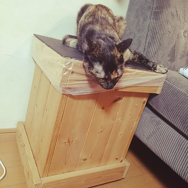 180447hiroさんの実例写真