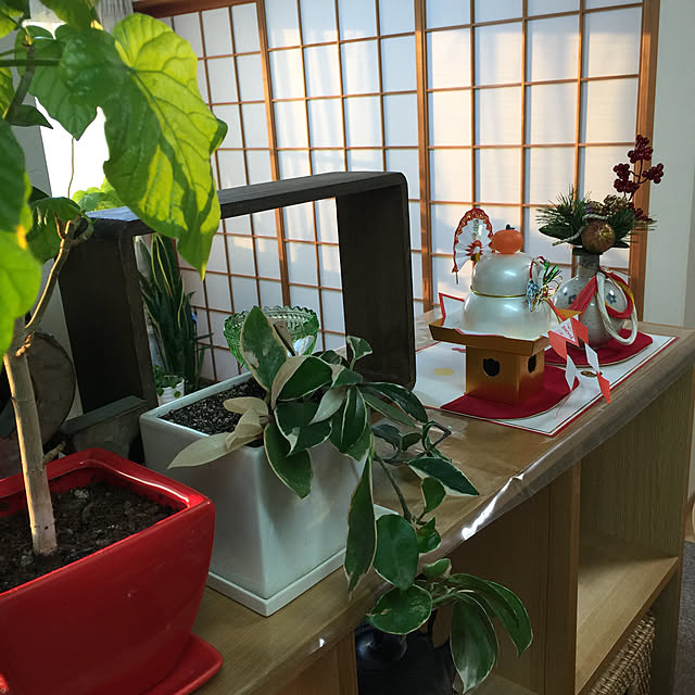 SAYONAさんの実例写真