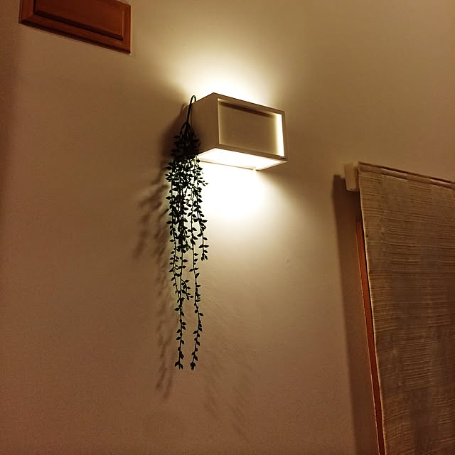 torotoriさんの実例写真