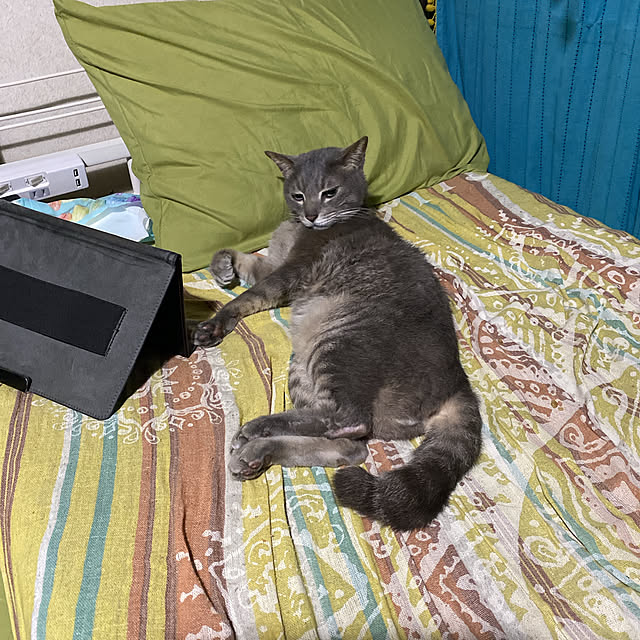 marimariさんの部屋