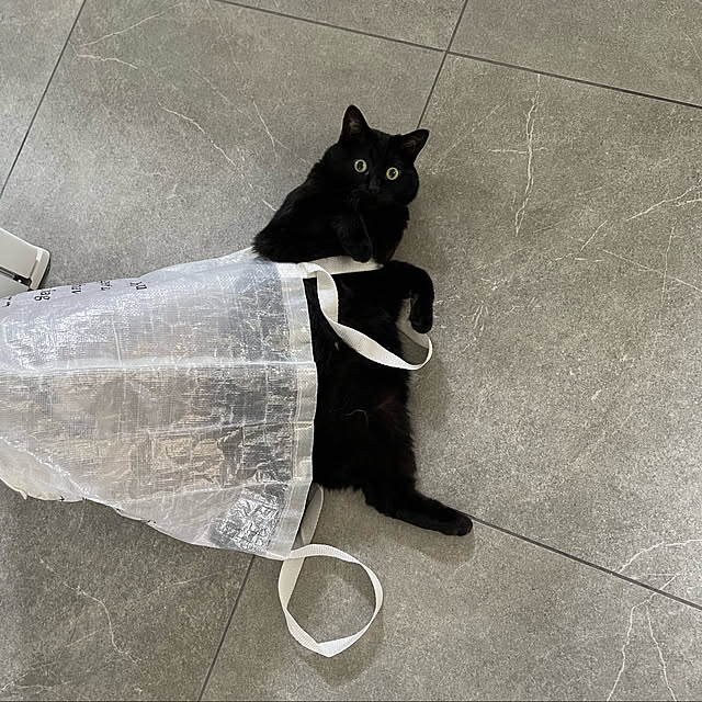 meloさんの実例写真