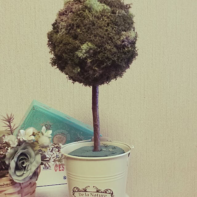 Naomiさんの実例写真