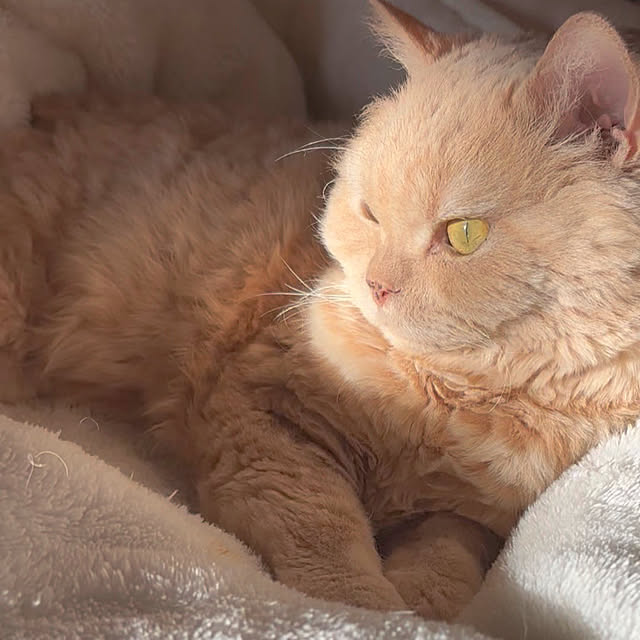 naokoさんの部屋