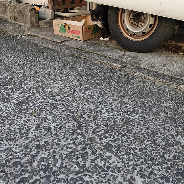marosukeさんの実例写真