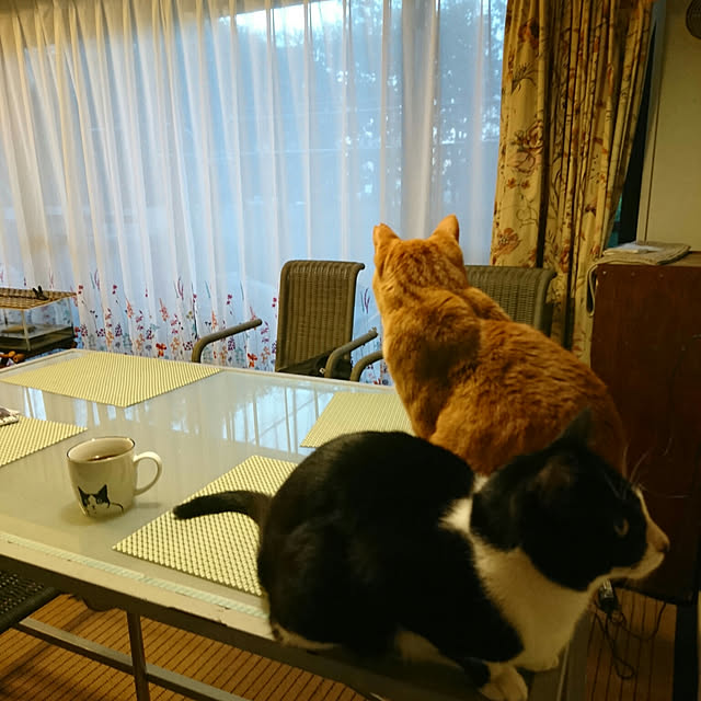 okyosan101さんの実例写真