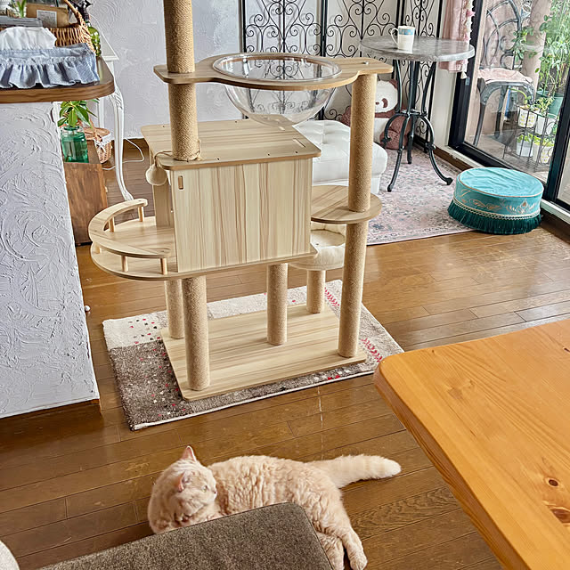 naokoさんの部屋