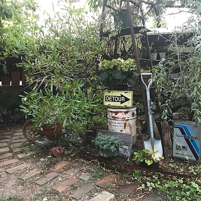 bibianさんの実例写真