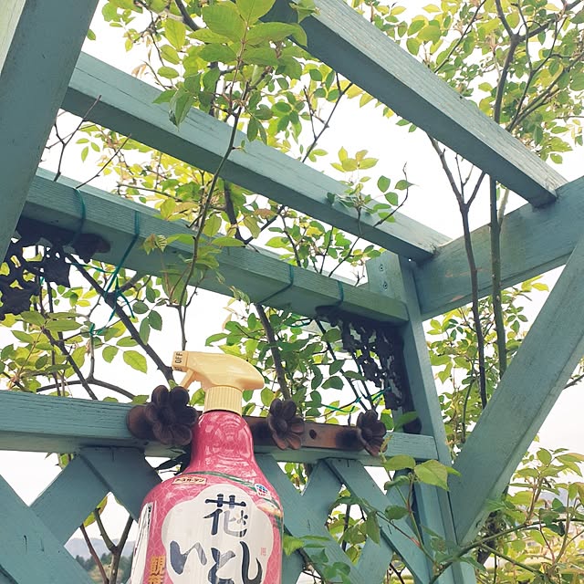 prepreさんの実例写真