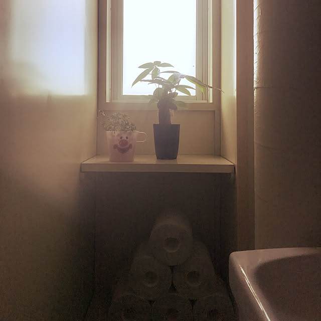 y0k0さんの実例写真
