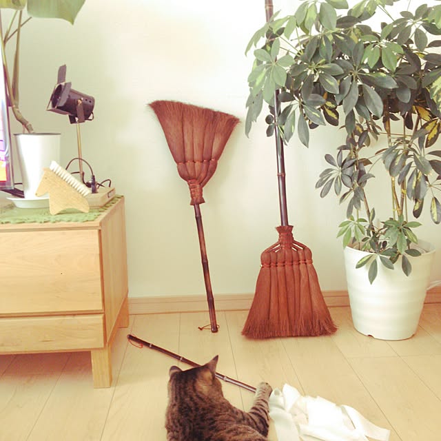 Hinataさんの実例写真