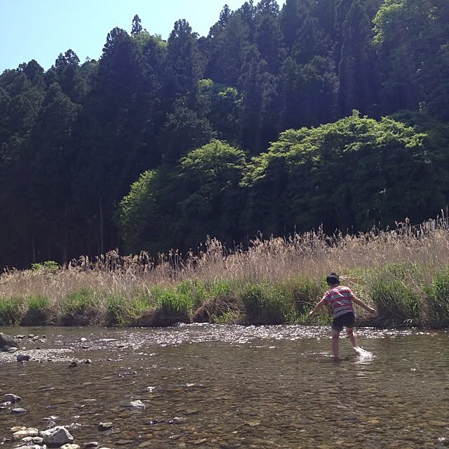 fish.さんの実例写真