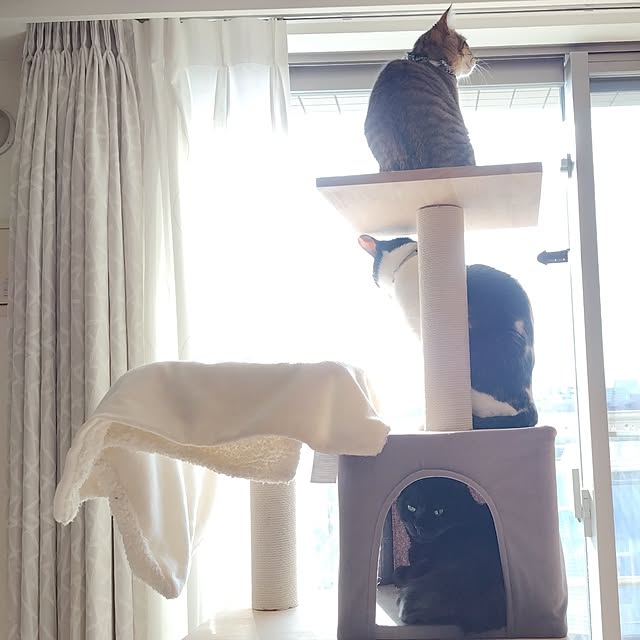 haruissaさんの部屋