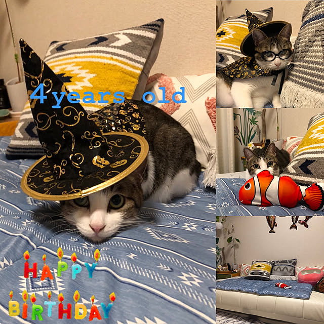 mikenekoさんの実例写真