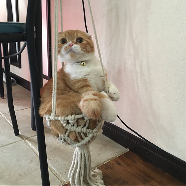 shizzzさんの実例写真