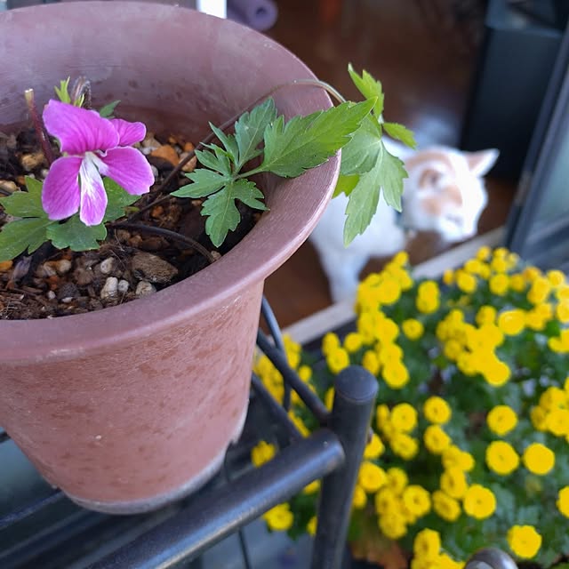 NOAHさんの実例写真